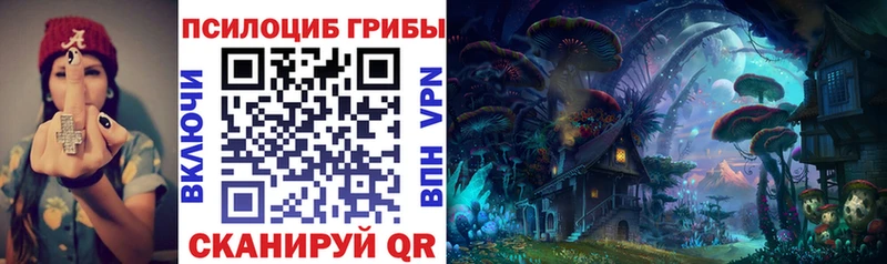 Купить  Карасук  Псилоцибиновые грибы MAGIC MUSHROOMS 