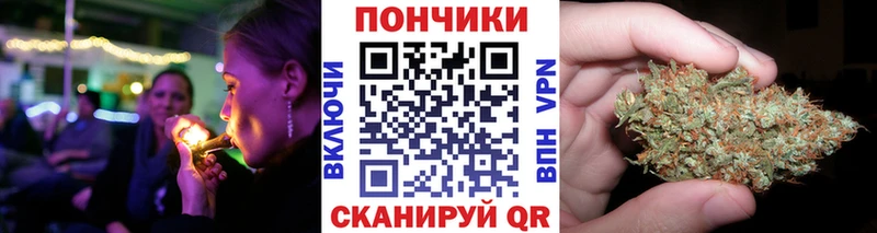 Конопля план  Купить где  Карасук 